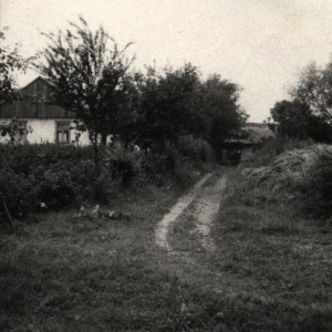 pokaż obrazek - Kolonia nad Bugiem w Dorohusku 1960 rok.