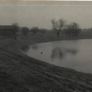 pokaż obrazek - Kolonia nad Bugiem w Dorohusku.
