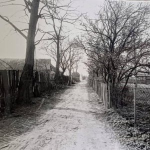 pokaż obrazek - Dorohusk Wieś. Fragment południowej części 