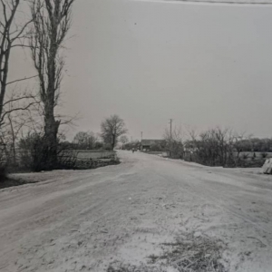 pokaż obrazek - Dorohusk Wieś. widok od wsch. na drogę od cmentarza na zachód.