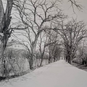 pokaż obrazek - Dorohusk Osada. Widok od zachodu na ulicę Graniczną - dawną aleję do cerkwi.