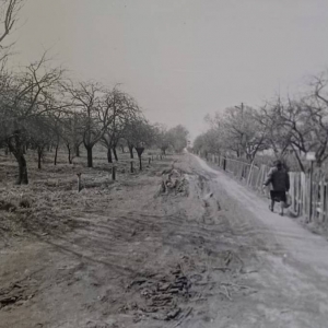 pokaż obrazek - Dorohusk Osada. Widok na ulicę Ogrodową.