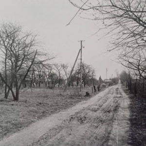 pokaż obrazek - Dorohusk Osada. Obecnie ulica Nadbużańska.
