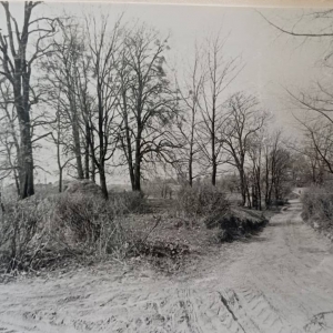 pokaż obrazek - Dorohusk Osada. Park dworski w Dorohusku.