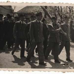 pokaż obrazek - Pracownicy Urzędu Celnego w Dorohusku na pochodzie 1 - Majowym . Lata 60 -te.