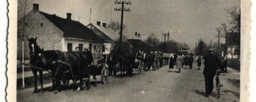 Fotografie  pochodzą z prywatnego archiwum Pani Czesławy Bąk pochodzącej z Dorohuska. Zdjęcia udostępniła córka -  Pani Jadwiga Sapińska obecnie wraz z mamą mieszkająca w  Katowicach.