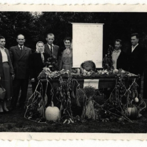 pokaż obrazek - Dożynki w Okopach lata 60 - te.