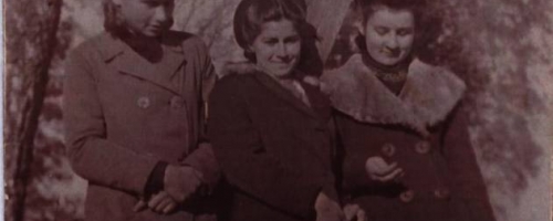 Zdjęcia udostępniła Pani Alina Matuszyńska z Dorohuska.