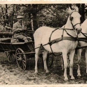 pokaż obrazek - Hrabia Śliwowski w Skordiowie. Okres międzywojenny.